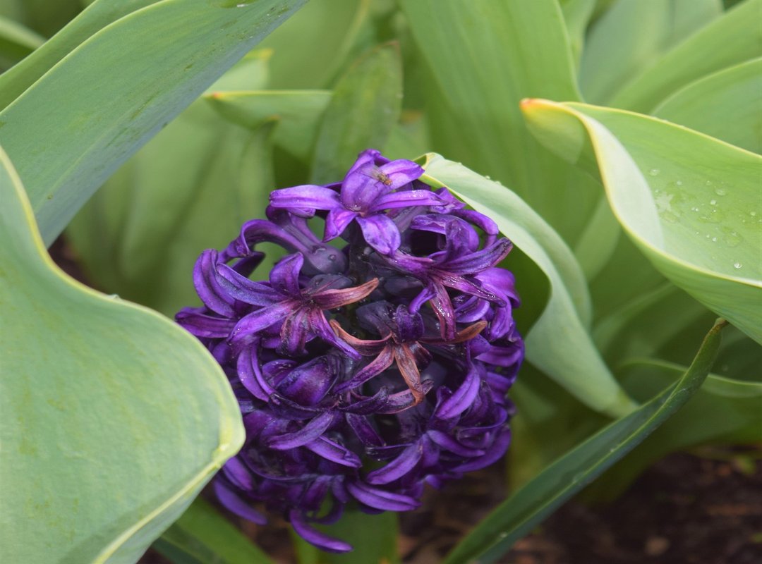 Manual Pdf Jogamesole